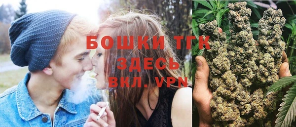 2c-b Богородицк