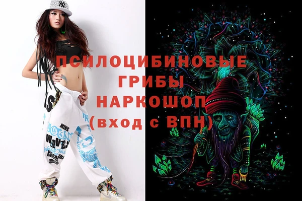 2c-b Богородицк