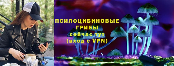 2c-b Богородицк