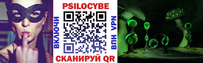 Галлюциногенные грибы Cubensis  купить закладку  Мглин 