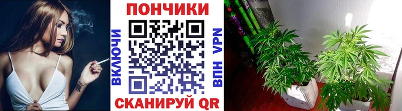 Бошки марихуана марихуана Мглин